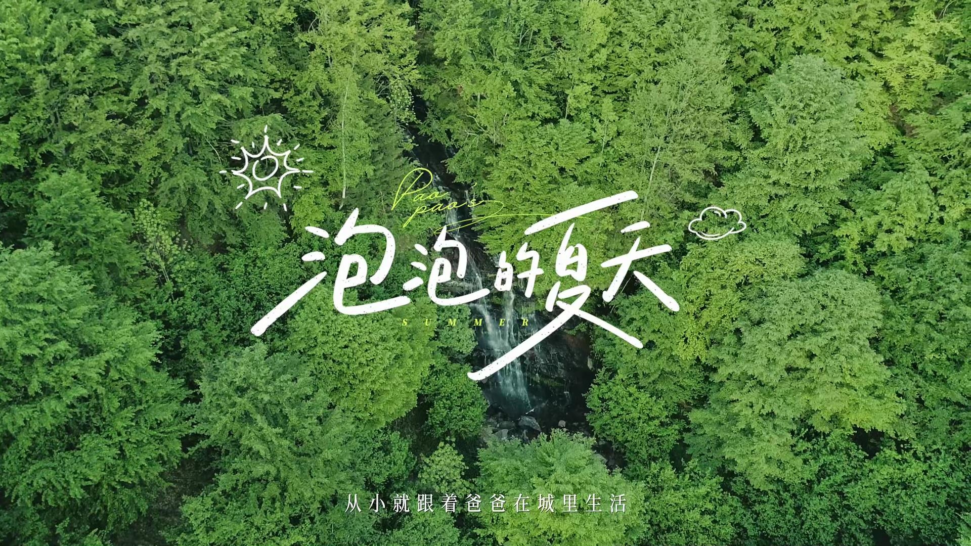 泡泡的夏天 (黄瓜视频免费下载)